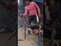 Phool Ye Angaar Ban Gaya