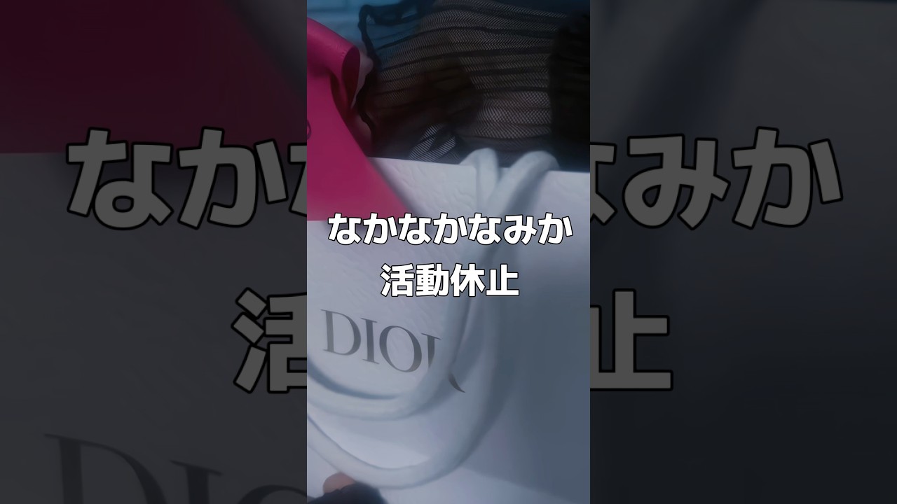 なかなかなみか活動休止#謝罪動画