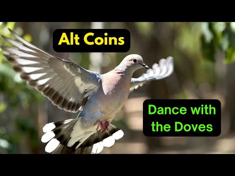 Alt Coins: Dance with the Doves