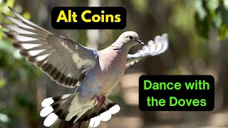 Alt Coins: Dance with the Doves