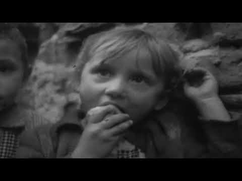 Lech Janerka - Jest jak w niebie