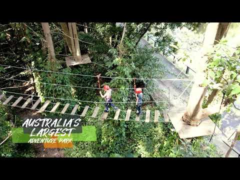 TreeTop Challenge Juniors - Sunshine Coast