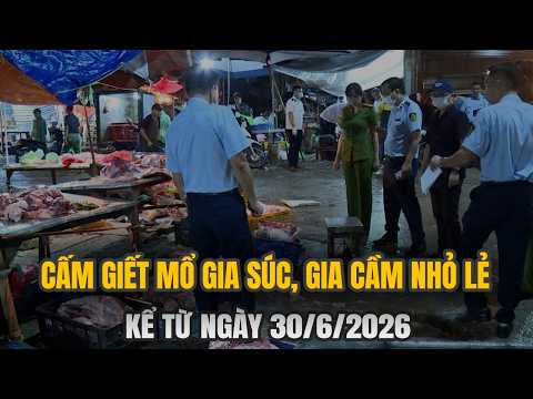 Hà Nội Cấm Giết Mổ Gia Súc, Gia Cầm Nhỏ Lẻ Từ 30/6/2026: Mức Phạt Nặng Nhất Lên Đến 50 Triệu Đồng?