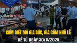 Hà Nội Cấm Giết Mổ Gia Súc, Gia Cầm Nhỏ Lẻ Từ 30/6/2026: Mức Phạt Nặng Nhất Lên Đến 50 Triệu Đồng?
