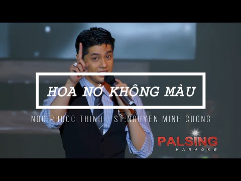 KARAOKE HOA NỞ KHÔNG MÀU - NOO PHƯỚC THỊNH | PALSING KARAOKE