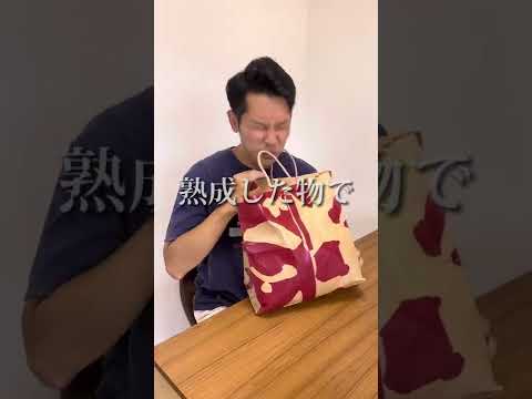 園芸 インドの石鹸メーカー、ソープツリー、ソープナッツ