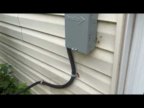 Opening Behind Utility Box Full of Yellow Jackets in Princeton Junction, NJ