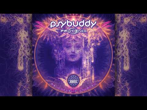 PsyBuddy - Shivas Realm ᴴᴰ