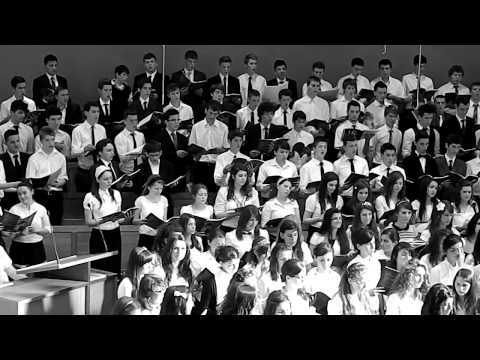 Soli Deo Gloria 2012 Privim spre Mielul