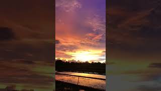 Download lagu story wa sunset matahari terbenam // sunset aesthetic #shorts #traveling #sunsetview #senjaindah mp3 Download lagu story wa sunset matahari terbenam // sunset aesthetic #shorts #traveling #sunsetview #senjaindah mp3