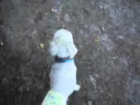 Where are you now? ep. 56