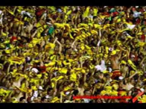 tocida jovem mc baby dpg