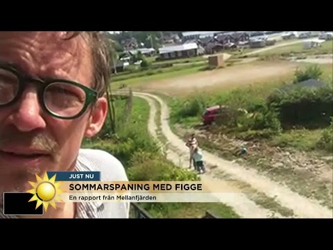 "Vi bryr oss bara om glesbygdspolitik när det är semestertider" - Nyhetsmorgon (TV4)