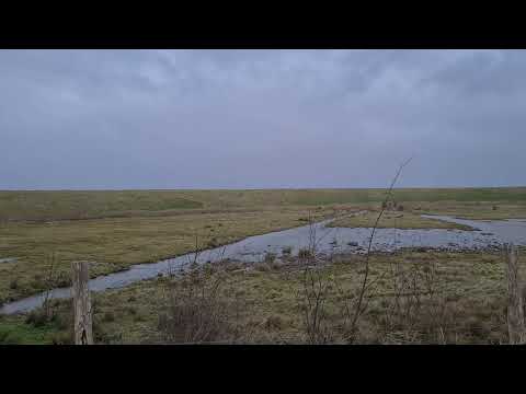 Storm Koude- en Kaarspolder Yerseke 1