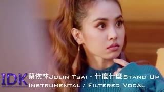 [ Instrumental ] 蔡依林 Jolin Tsai - 什麼什麼 Stand Up (Filtered Vocal 消音伴奏)