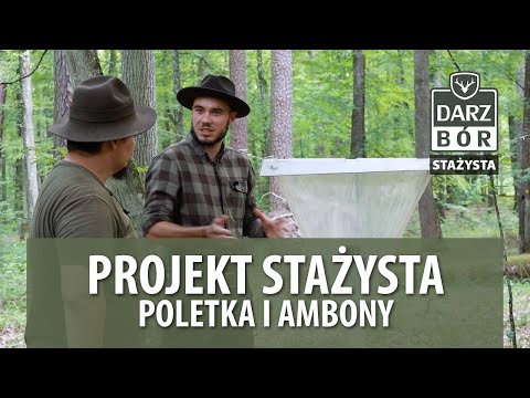 # 7 PROJEKT STAŻYSTA -  Poletka i ambony