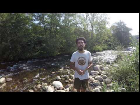 Adrien from the Youthman Skankers representing Reggae Gideon