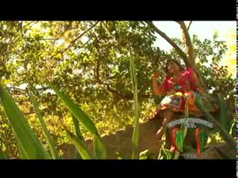 ESVILDA AVILA - FALSAS FUERON TUS CARIÑOS