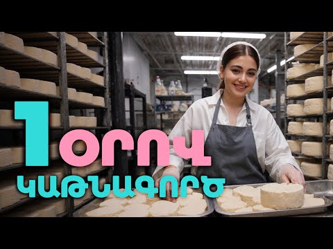 Ժիր, անհոգ`կաթի և կաթնամթերքի ՏԵԽՆՈԼՈԳ Ep. 5 | Gorcic gorc / Գործից գործ - Էպիզոդ 5 / Mery Kocharyan