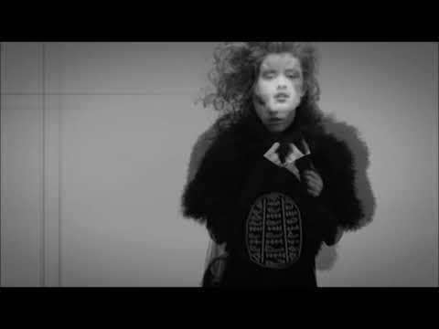 Golden Bug & In Fields - Shakes (Original Mix)