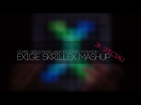 Sein & Music - Skrillex Mashup[2K Special Project]