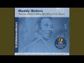 Little Anna Mea - Muddy Waters - Topic Little Anna Mea