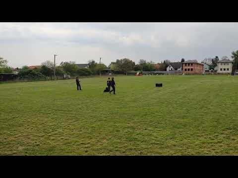 Hera obedience kezdő