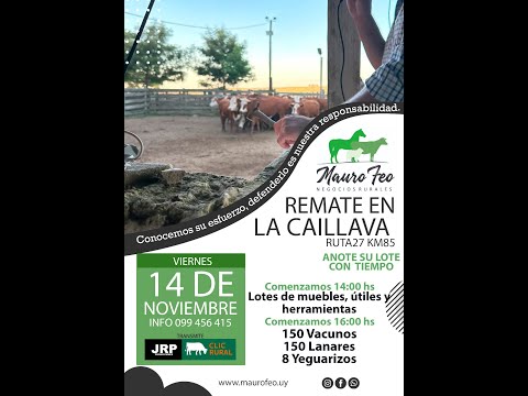 14/11/2025 Local La Caillava - Rivera - Feria Mensual - Mauro Feo