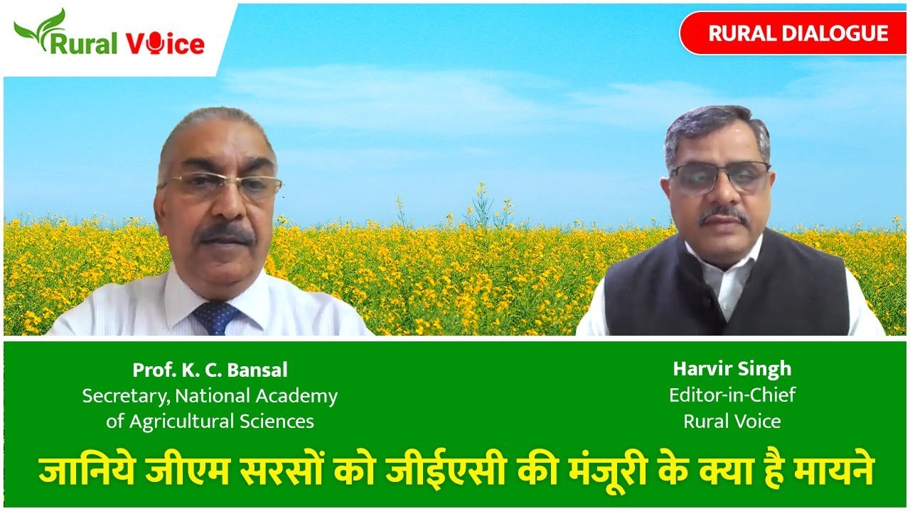 जेनेटिक्स एक्सपर्ट प्रोफेसर के.सी. बंसल से जानिये जीएम सरसों की मंजूरी के क्या है मायने