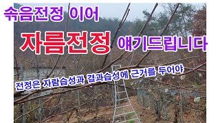 솎음전정 이어 자름전정 얘기드립니다. 전정은 자람습성과 결과습성에 근거를 두어야 제대로의 지식을 쌓을 수 있…