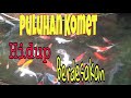 Cara Merawat Ikan Hias Kecil Di Kolam