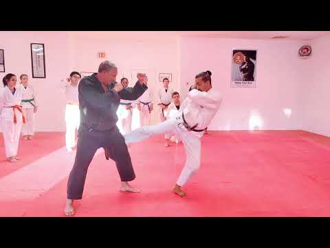 Mawashi Geri • Rotating Hips Help, Distance, & Kamae (Guard) Pointers || JUJITSU & KARATE