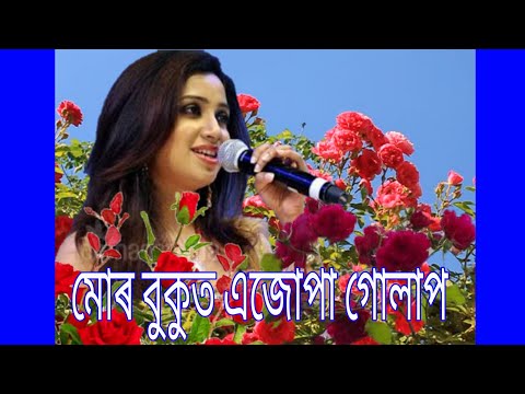 Song