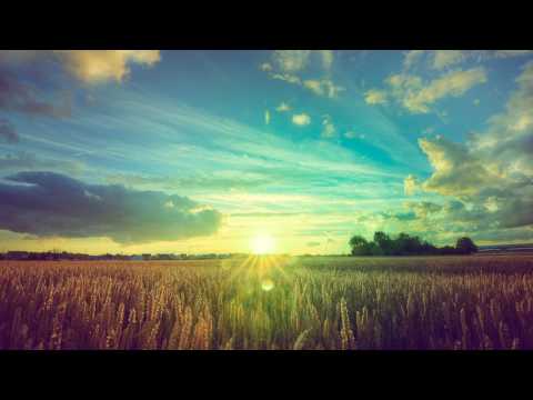 Kneel At The Feet Of Jesus - Willie Nelson