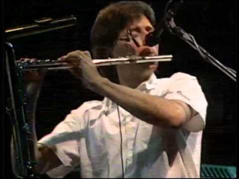 Andreas Vollenweider. Down to the Moon (Live in Tokyo, 1987)
