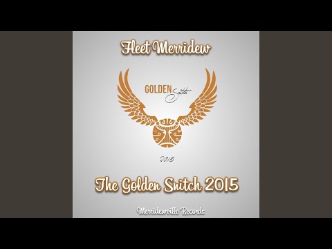The Golden Snitch 2015