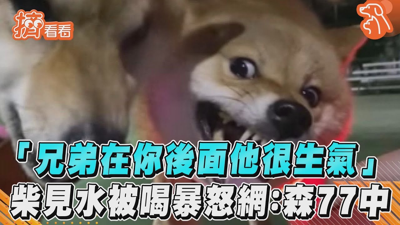 「兄弟在你後面他很生氣」 柴見水被喝暴怒網:森77中