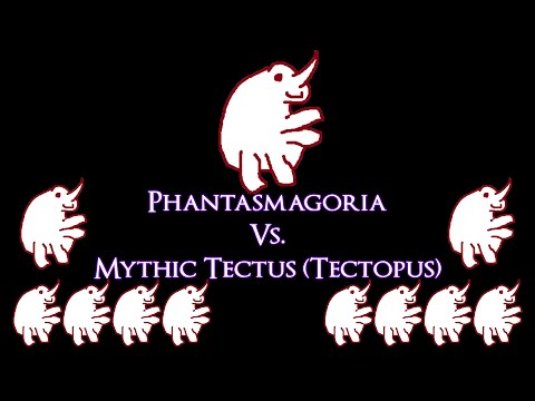 Phantasmagoria Vs. Mythic Tectus (Protection Paladin PoV)