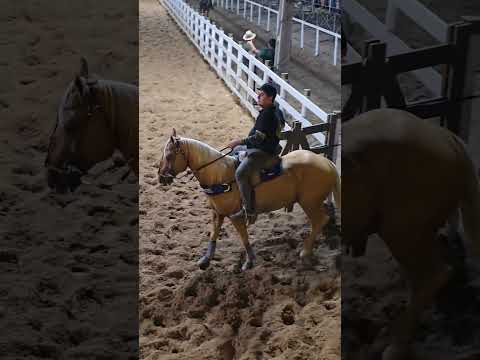 Prefeito Bebeto Barros PARQUE DE VAQUEJADA JOSÉ DE MESSIAS BARROS GIRAU DO PONCIANO-AL  06/12/25