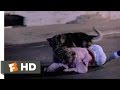 After Midnight 5 10 Movie CLIP Wild Dog Attack 1989 HD