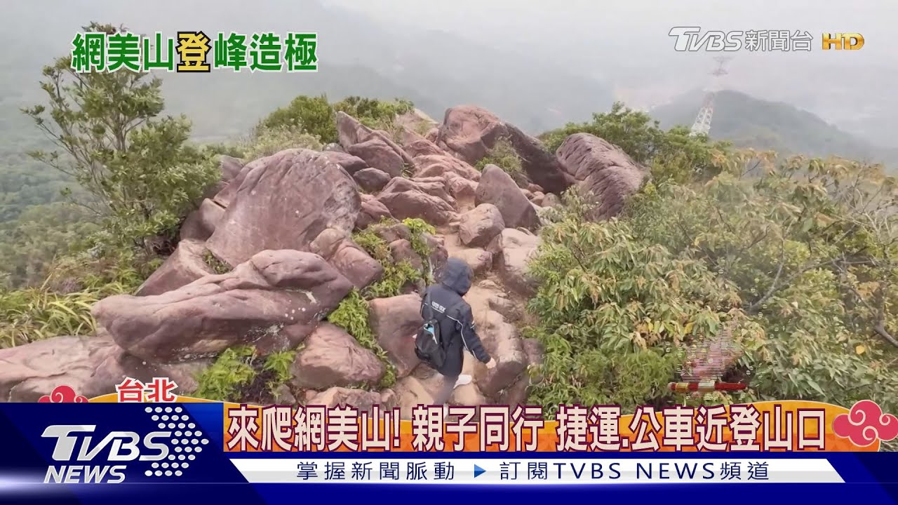 來爬網美山！親子同行　捷運、公車近登山口