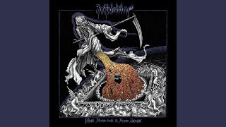 Spirit of the black star