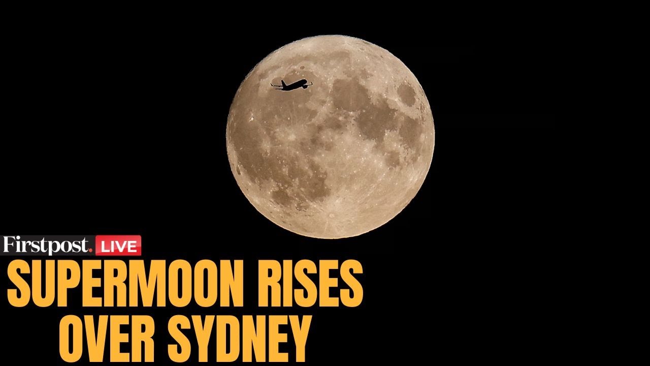 Supermoon 2025 LIVE: Spectacular Supermoon Shines Bright Over Bondi Beach, Sydney | N18G