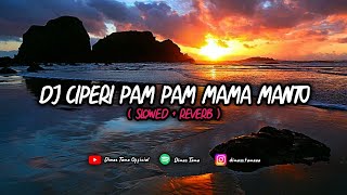 Download lagu DJ CIPERI PAM PAM MAMA MANTU (SLOWED REVERB) || VIRAL TIKTOK🎧 mp3
