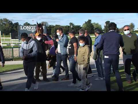 211003 c05 Jockey Club/ ROUNDOFAPPLAUSE (ARG)