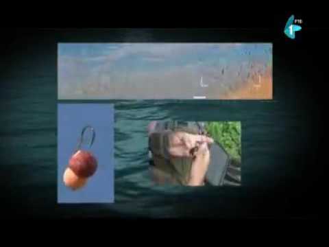 Čari Ribolova, babuške sa Čičova (19.02.2016.)