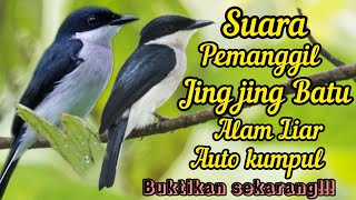 Download lagu SUARA PIKAT PEMANGGIL JINGJING BATU RIBUT DI ALAM LIAR 💯% NYAUT mp3