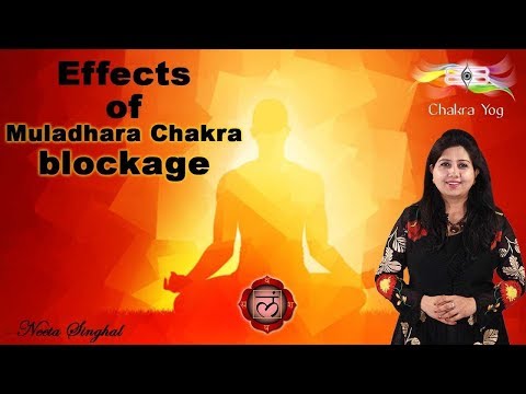 Effects of Muladhara Chakra blockage | Neeta Singhal
