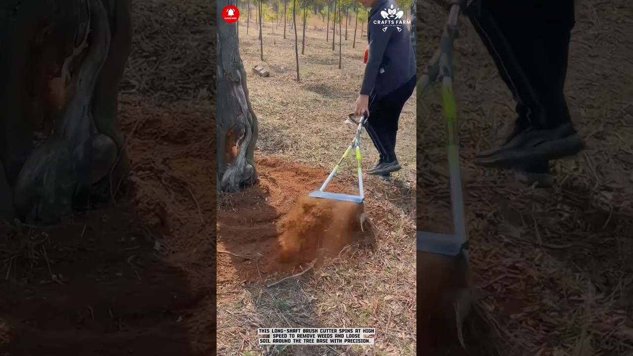 미니 파워 틸러: 나무 밑동 관리를 위한 정밀 토양 풀기