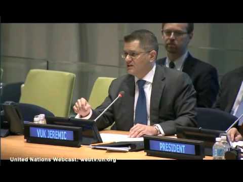 Vuk Jeremić Opening remarks